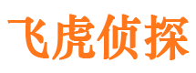 武安出轨调查